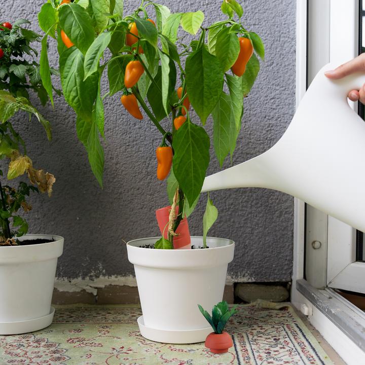 Actual product image Relaxdays 4x clay cone (Clay cone)