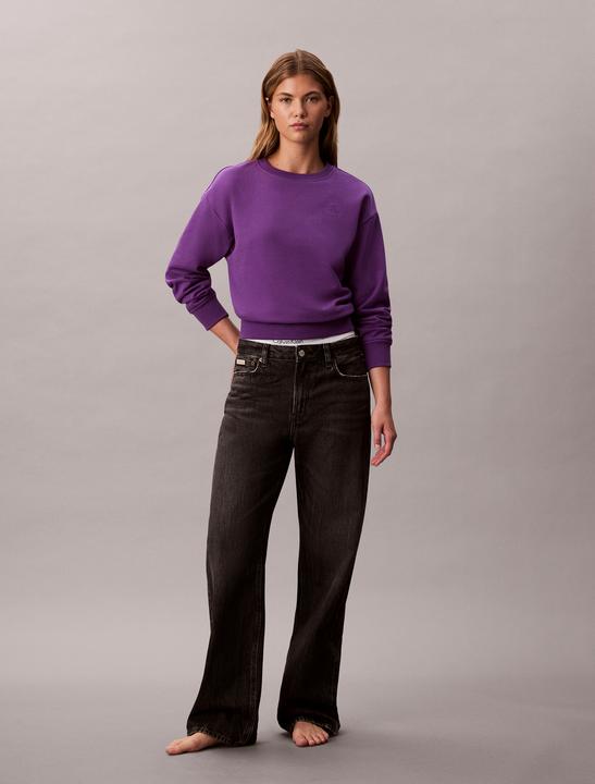 Produktbild Calvin Klein Jeans Ls Archive Logo French Terry Rlx (M)