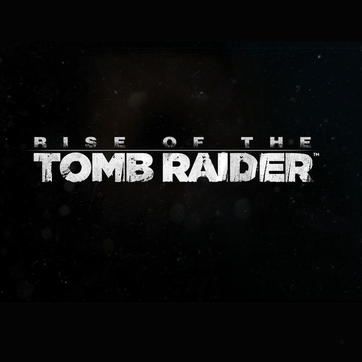 Produktbild Square Enix Rise of the Tomb Raider: 20 Year Celebration (PS4)