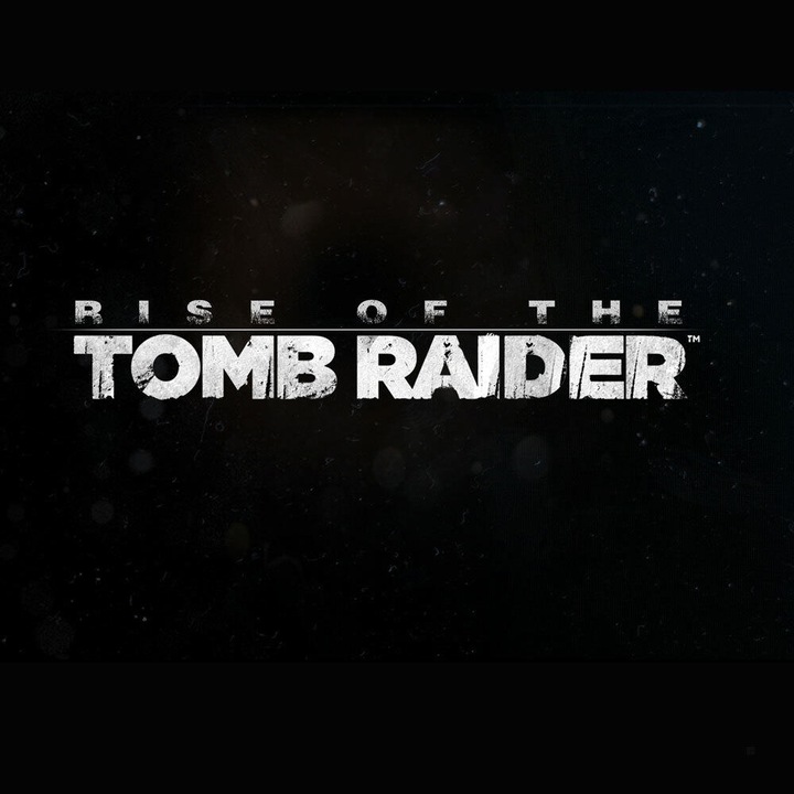 Produktbild Square Enix Rise of the Tomb Raider (PS4, DE)