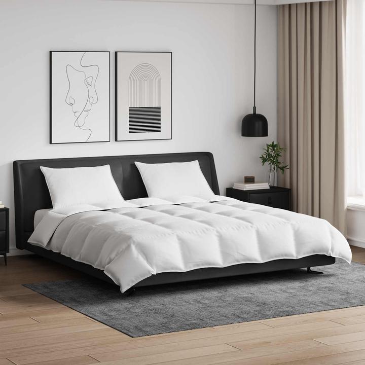 Image du produit vidaXL Bettdecken Set (240 x 220 cm, 50 x 70 cm)