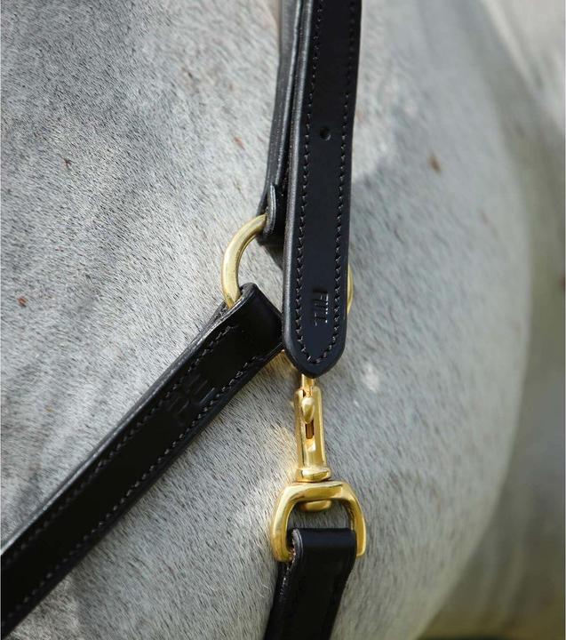 Image du produit Premier Equine Licol pour cheval en cuir
