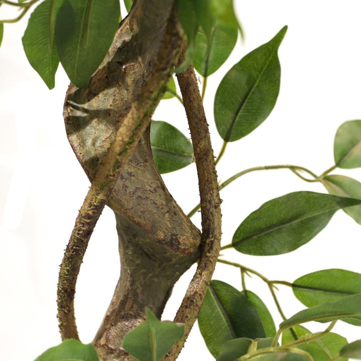Actual product image Hjh Office Ficus I (120 cm)