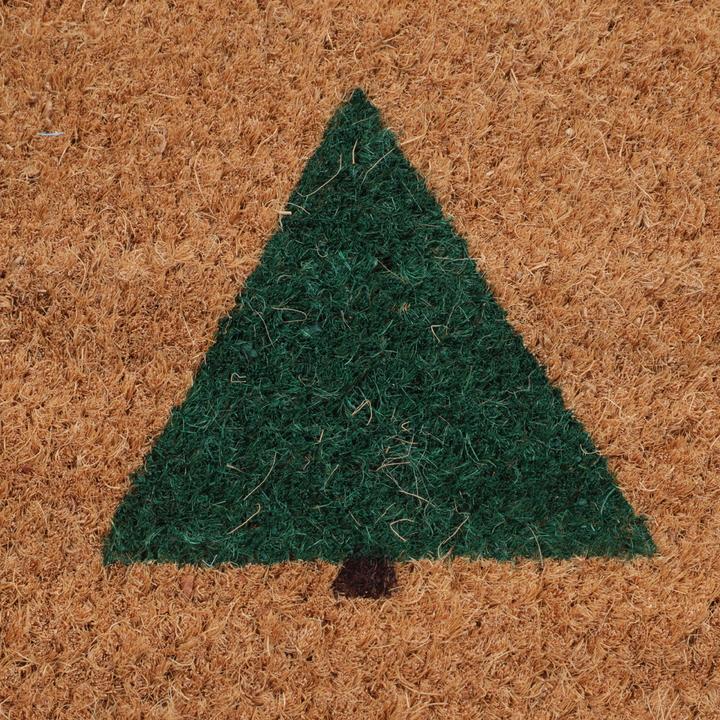 Immagine prodotto pfister Kokosmatten (75 x 45 cm)