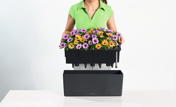 Actual product image Lechuza Balconera Color (19 cm)