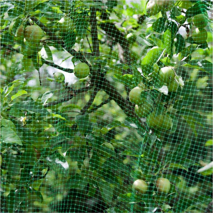 Produktbild Windhager Vogelschutznetz "Orto" 5x4m