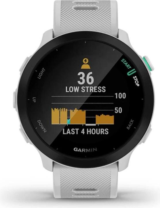 Actual product image Garmin Smartwatch Forerunner 55 (42 mm)