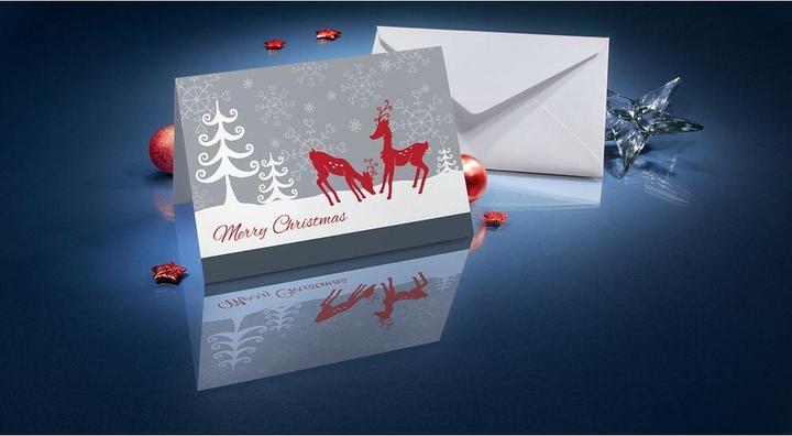 Actual product image Sigel Red Deer (25 pcs.)