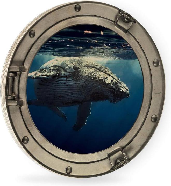 Immagine prodotto Trenddeko Oblò in 3D - Megattera in immersione (Ø 20 cm)