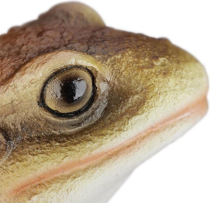 Actual product image Relaxdays Cast Stone Frog Garden Statue