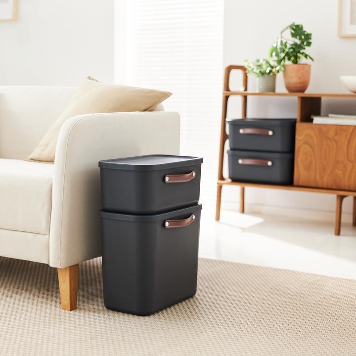 Actual product image Rotho Aufbewahrungsbox 12 l MALOJA (12 l)