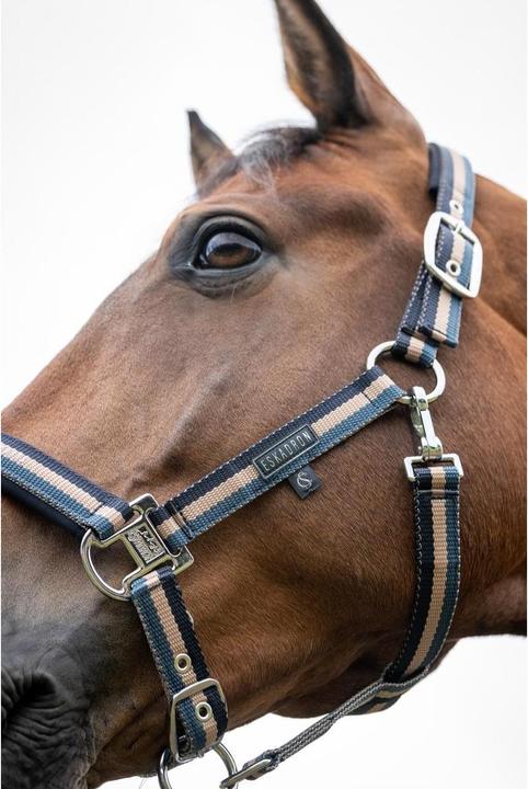 Immagine prodotto Eskadron Halfter DOUBLE PIN Classic Sports SS26
