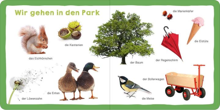 Actual product image Meine ersten 100 Wörter (German, 2017)