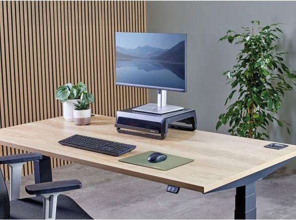 Productafbeelding Fellowes Breyta XL Mauspad salbei (XL)