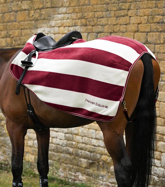 Actual product image Premier Equine Vellus