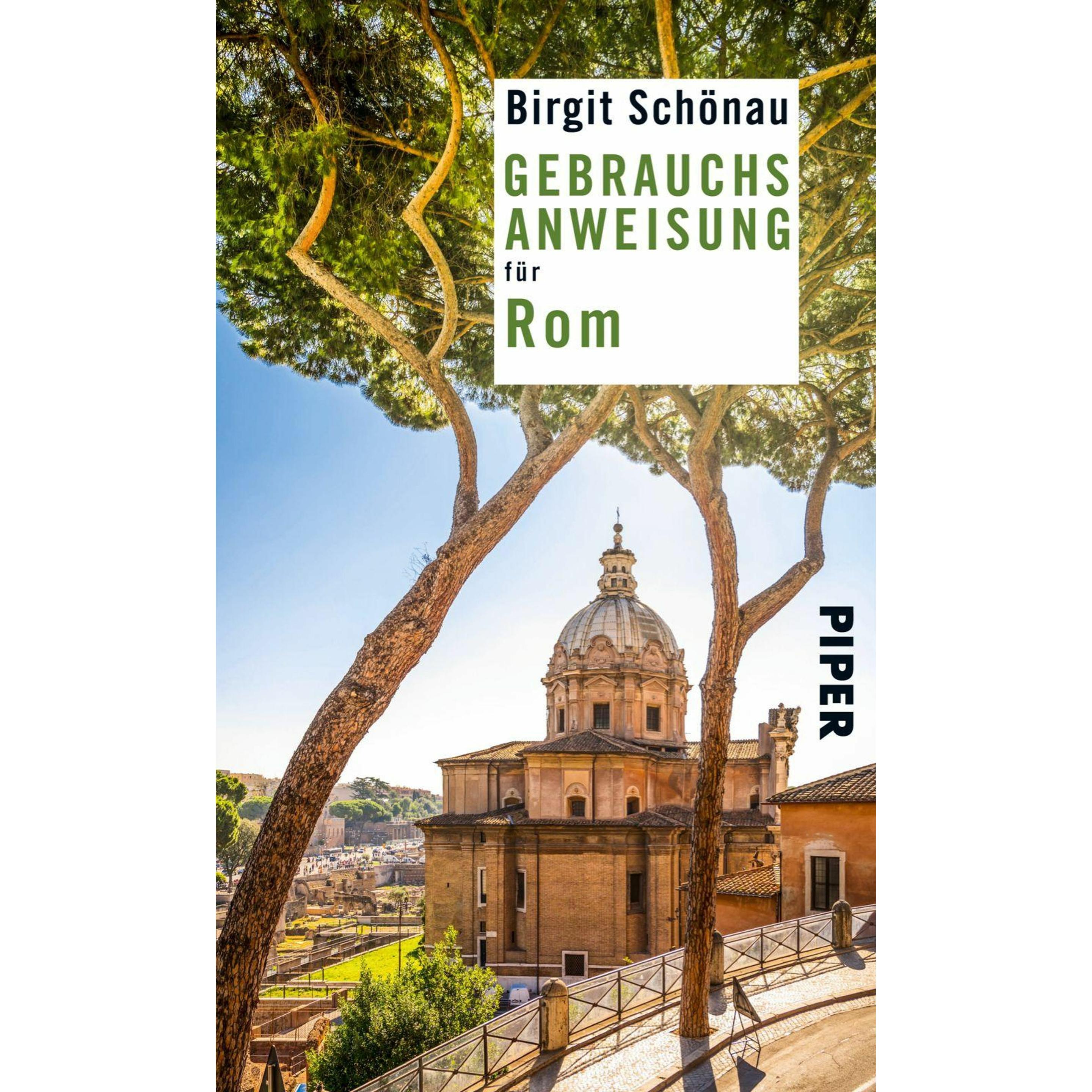 Gebrauchsanweisung für Rom, Ratgeber von Birgit Schönau