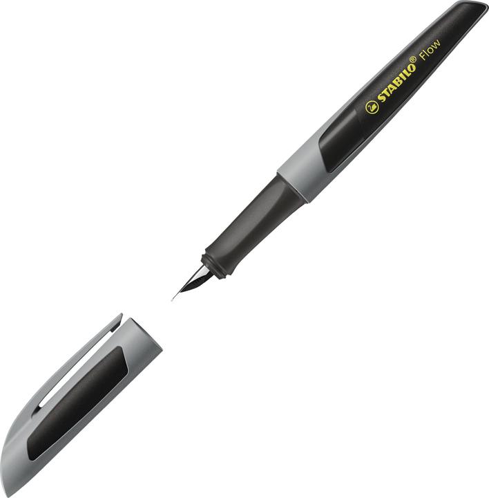 Produktbild STABILO Flow ACTIVE Füller (Grau, 1 x)