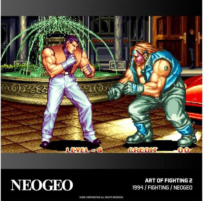Immagine prodotto Blaze Evercade NEOGEO Arcade 2 Cartridge (Evercade, DE)