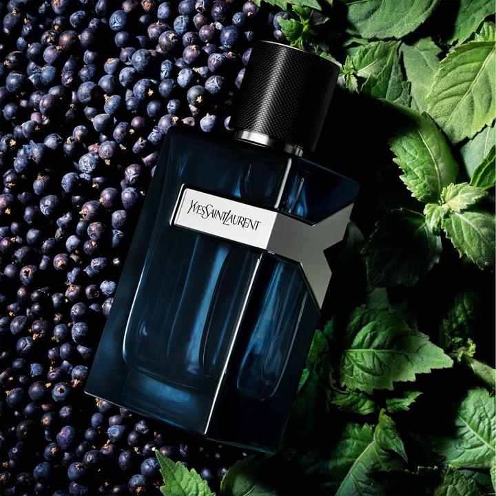 Immagine prodotto Yves Saint Laurent Intense (Eau de parfum, 100 ml)
