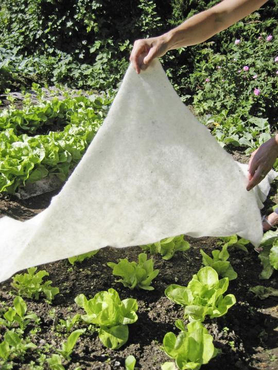 Image du produit Windhager Couverture en laine de mouton