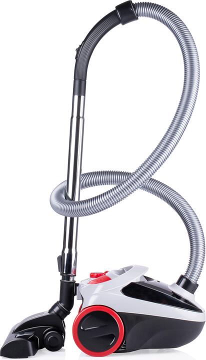 Dirt Devil Sac de nettoyage à vide 2,0l DD2001