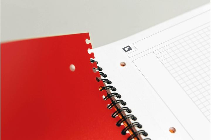 Actual product image Oxford Activebook (A4, Checked, Soft cover)