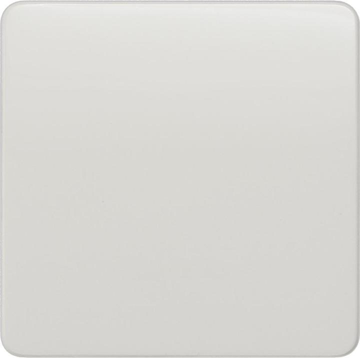 titanweiss (ähnlich RAL 9010)