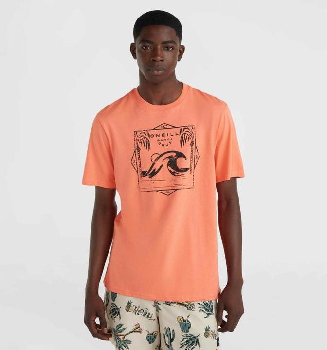 Produktbild O'Neill Mix & Match Wave T-Shirt (M)