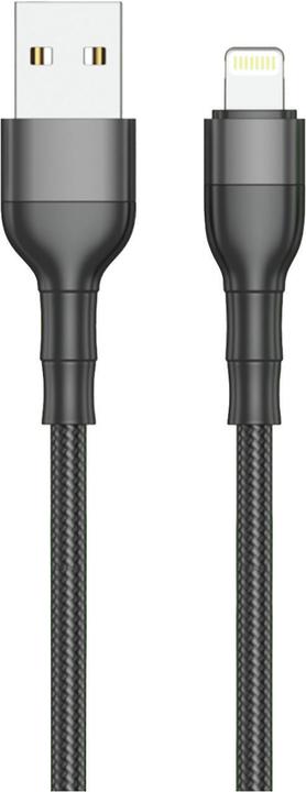 Produktbild 2GO 797305 USB Kabel USB B Lightning (1 m)