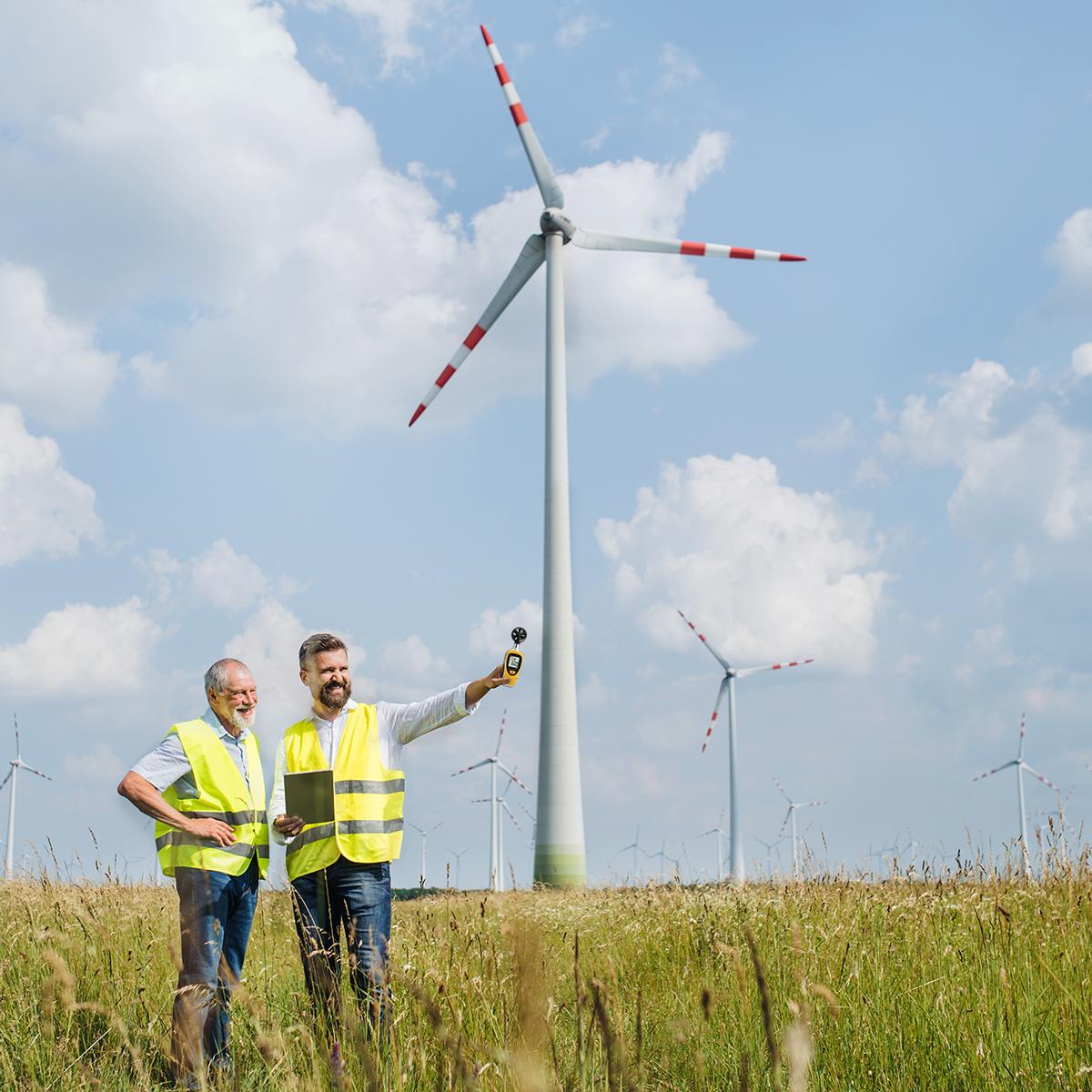 Thumbnail - TFA, Detektor, Wind Bee