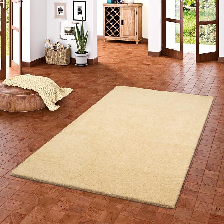 Image du produit Snapstyle Palais du tapis à poils longs (100 x 200 cm)