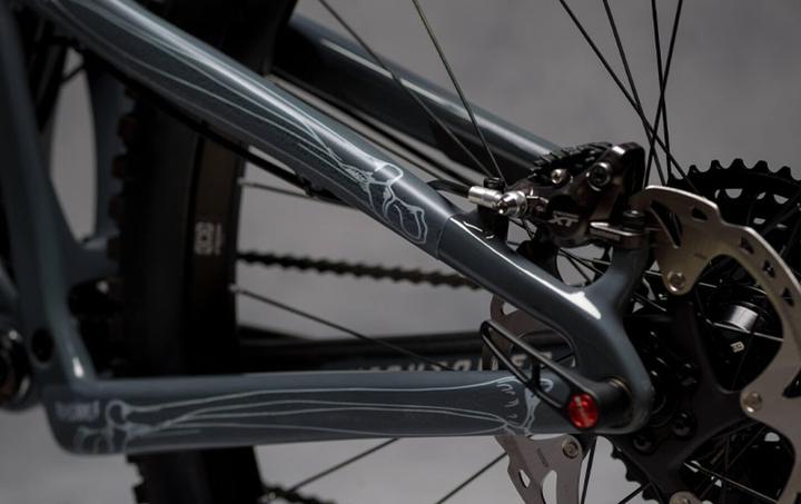 Actual product image Dyedbro Bones (One size, Unique specimen)