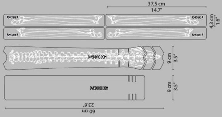 Actual product image Dyedbro Bones (One size, Unique specimen)