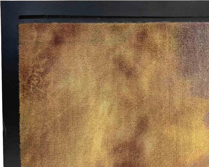 Siena Home Doormat