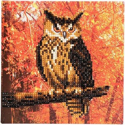 Actual product image Craft Buddy Parrot Friends, 18x18cm Crystal Art Card