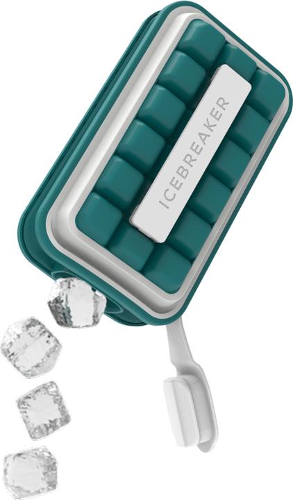 Actual product image Icebreaker Nordic: Pop