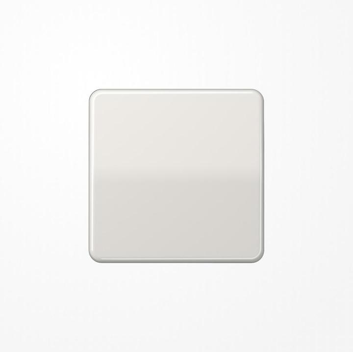 Actual product image JUNG Rocker