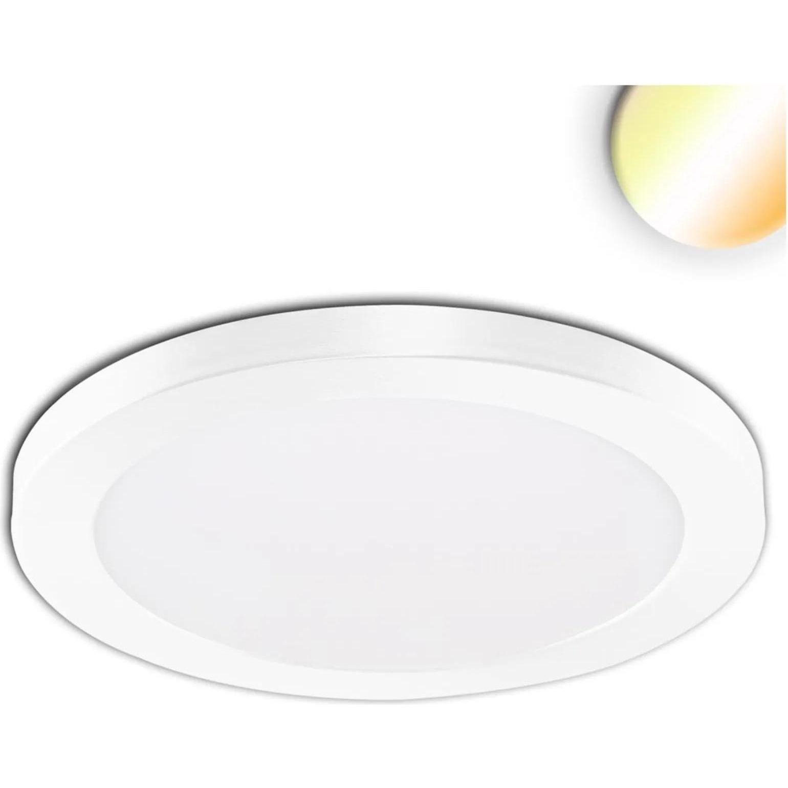 Isoled, Wandleuchte + Deckenleuchte, Strahler, Spots & Aufbaustrahler (2040 lm)