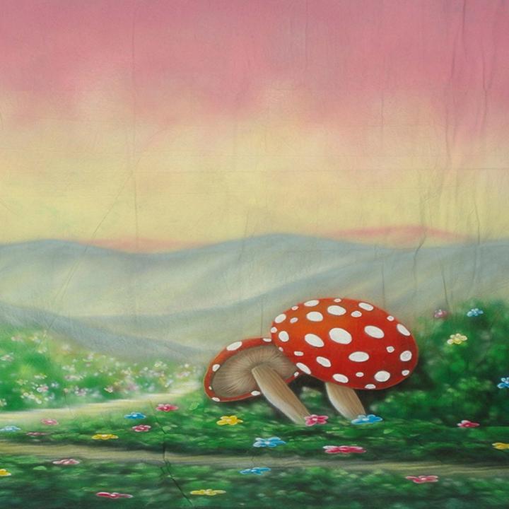 Produktbild Walimex pro pro Motiv-Stoffhintergrund 'Alice' (300 cm, 600 cm)