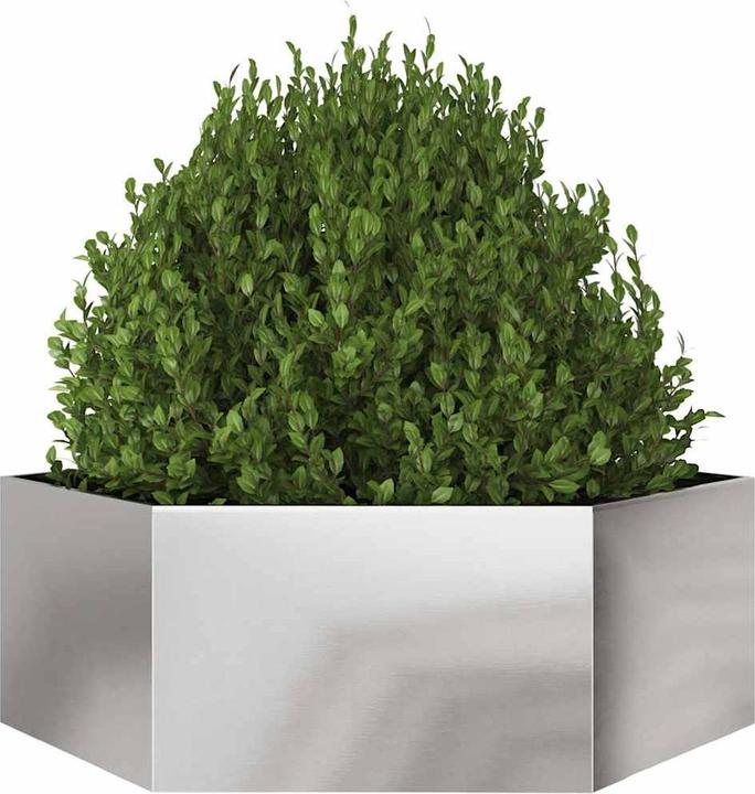 Produktbild vidaXL Pflanzkübel