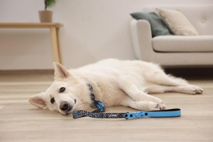 Image du produit Kerbl Collier Lima (56, 58, 60, 62, Chien, Général)