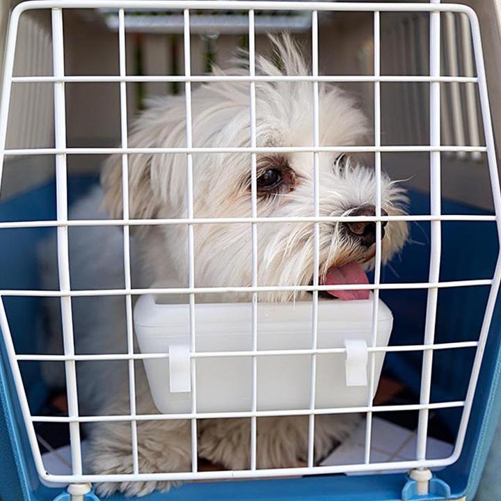 Actual product image Ferplast Atlas Open (Cat, Dog, Safety closure, Can be opened completely)