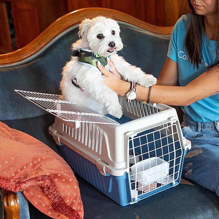 Actual product image Ferplast Atlas Open (Cat, Dog, Safety closure, Can be opened completely)