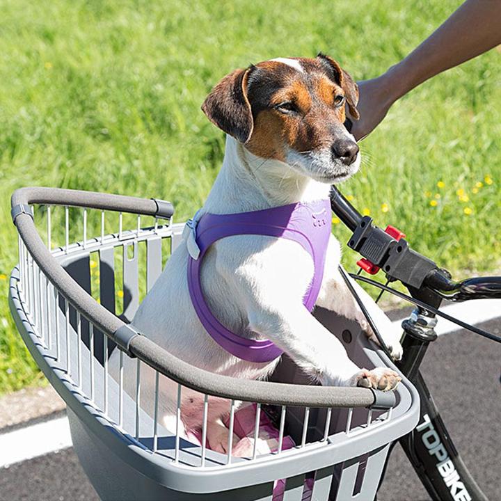 Image du produit Ferplast Atlas Bike 20 Rapid assortis (Chien, Verrouillable, Respirant)