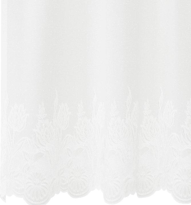 Produktbild vidaXL Spitzenvorhang (300 x 200 cm)
