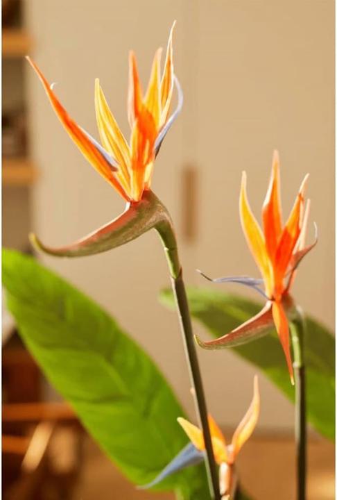 Image du produit Emerald Christable (128 cm)