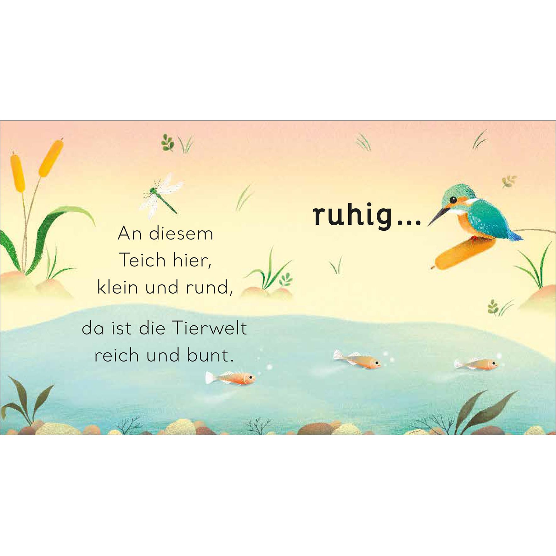 Thumbnail - Eine kleine Welt im Teich, Kinderbücher von Rachel Qiuqi, Vivien Danne, Will Millard