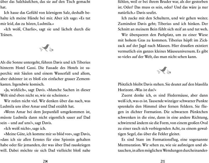 Produktbild Komische Vögel – 2.500 Meilen Familie, Chaos und jede Menge Chicken Nuggets (Deutsch, Julie Mclaughlin, Sally J. Pla, Susanne Hornfeck, 2023)