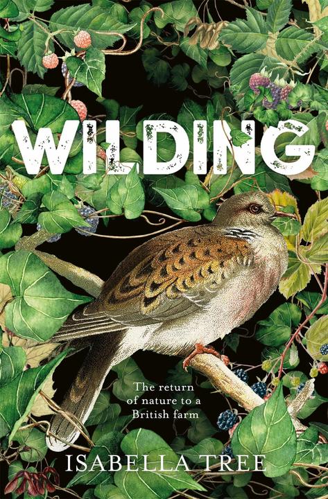 Produktbild Wilding (Englisch, Tree Isabella, 2018)
