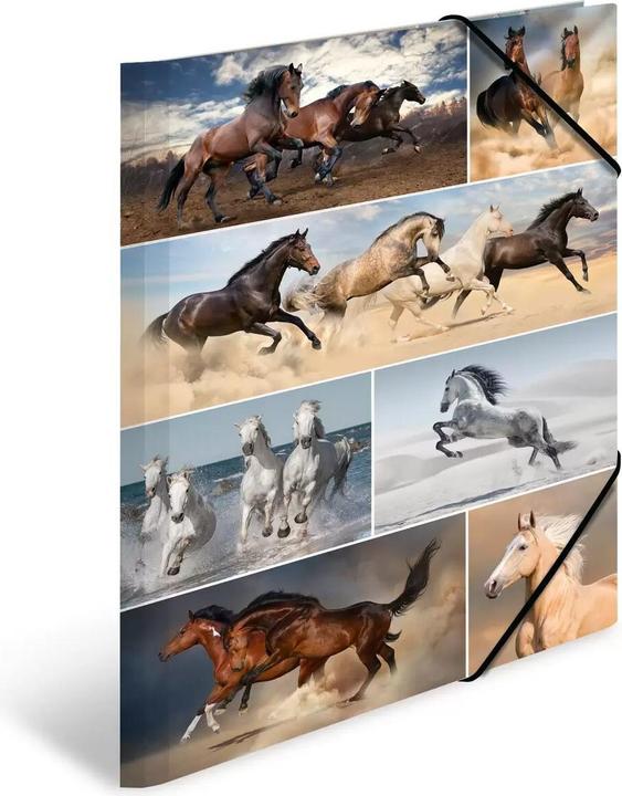 Produktbild HERMA Sammelmappe A3 Motiv (A3, 1x)